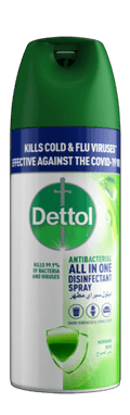 DETTOL ALL IN ONE DISINFECTANT SPRAY